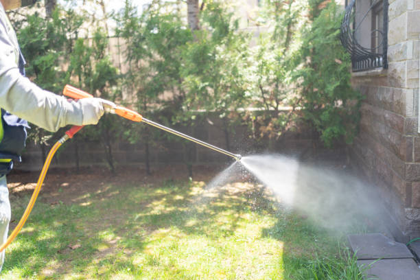 Best Organic or Eco-Friendly Pest Control  in Sacaton, AZ